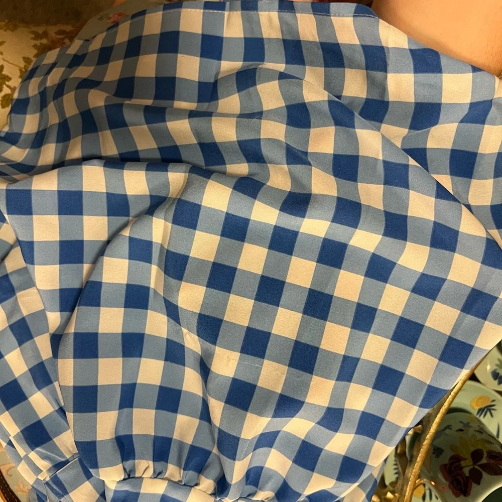 Goodnight Macaroon Blue and White Gingham Maxi Dress - Picture 6 of 7